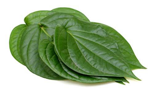 Betel Leaf Loose - Variant 11 Grams