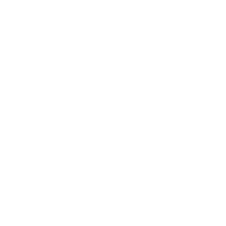 Zodiac Icon